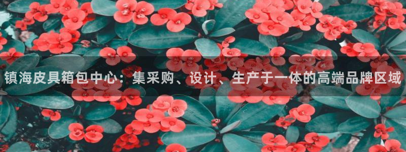 辉达娱乐ag游戏平台