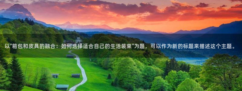 辉达娱乐公司
