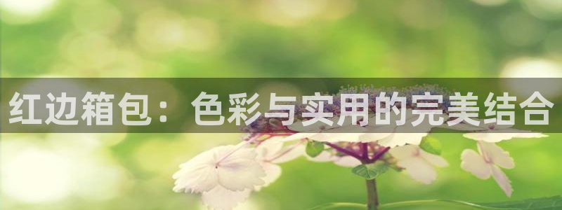 辉达平台官网电话