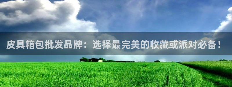 辉达娱乐时时彩