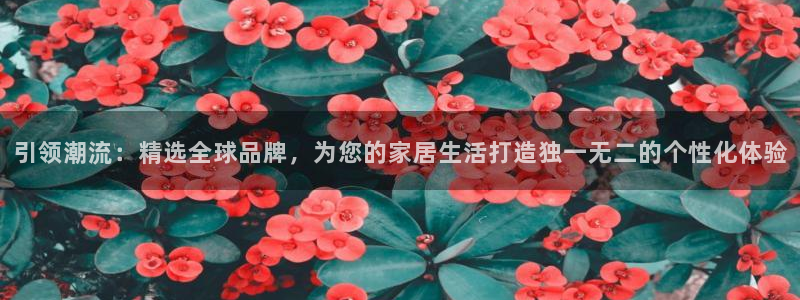辉达娱乐属于什么档次