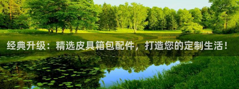 辉达娱乐最新消息新闻