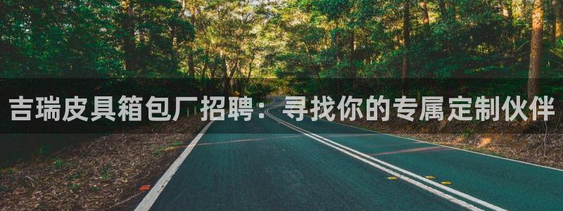 辉达娱乐五75505