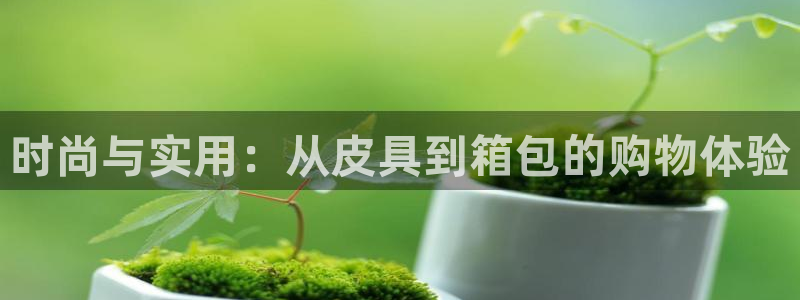 辉达娱乐平台