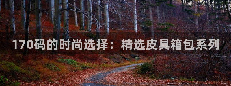 辉达娱乐平台
