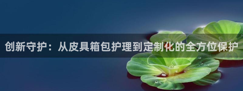 辉达娱乐体彩