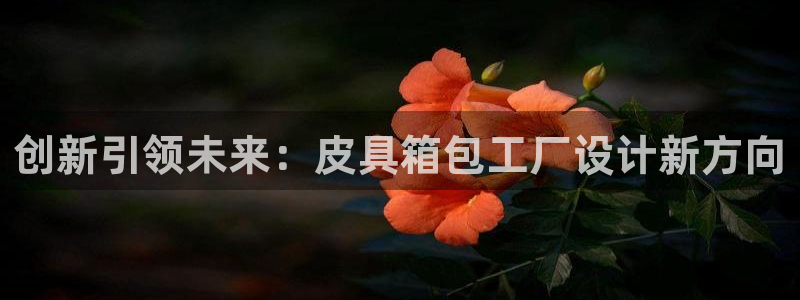 辉达娱乐总部