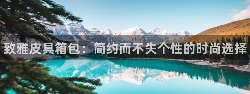 辉达平台官网网站