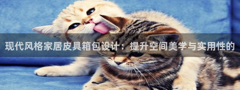 辉达娱乐正规吗