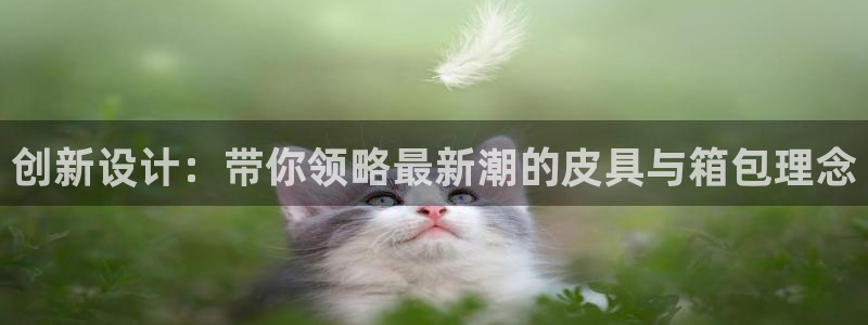 代理辉达娱乐