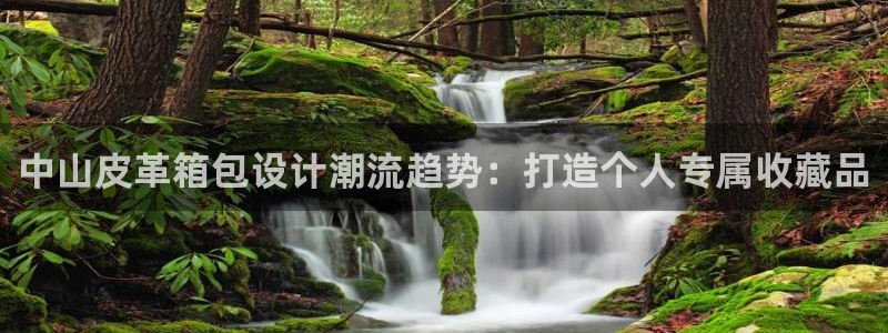 辉达娱乐app