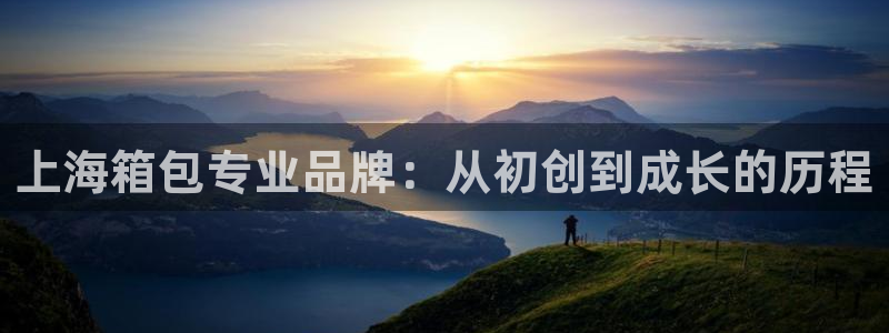 辉达娱乐电子