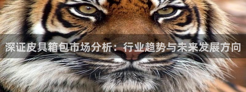 专业辉达娱乐平台