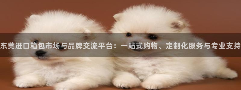 恒达娱乐辉70667
