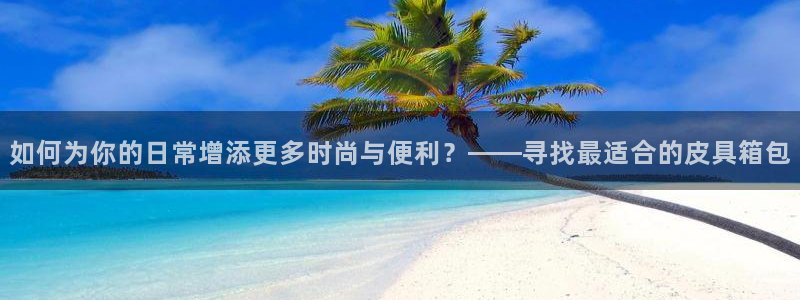 辉达娱乐分红