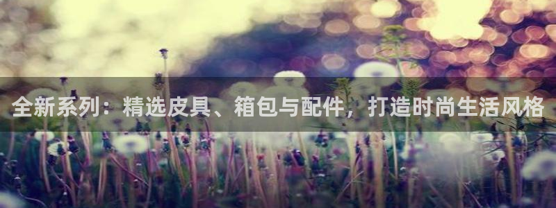 辉达娱乐丶39444