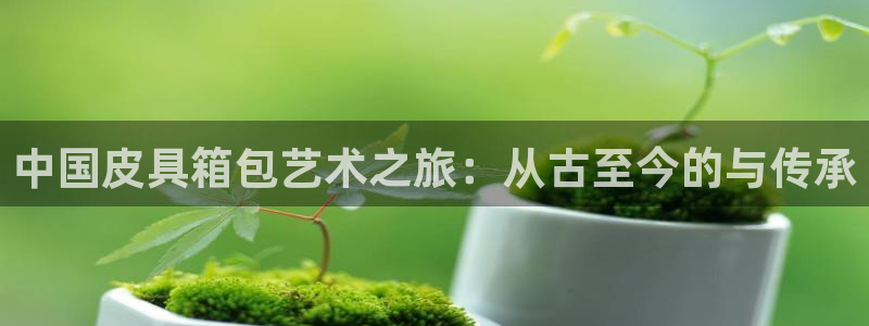 辉达娱乐时时彩平台
