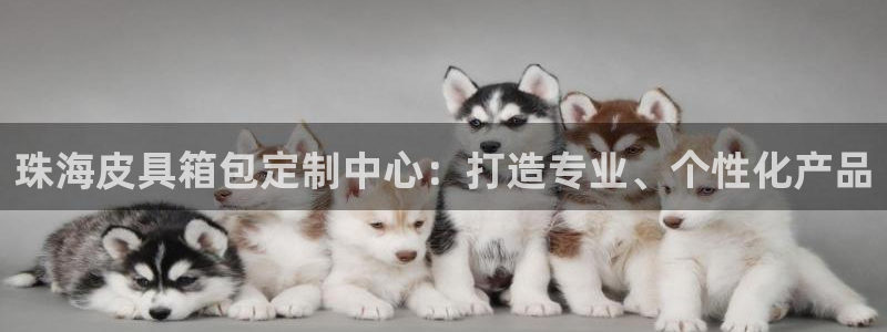 辉达娱乐属于什么档次