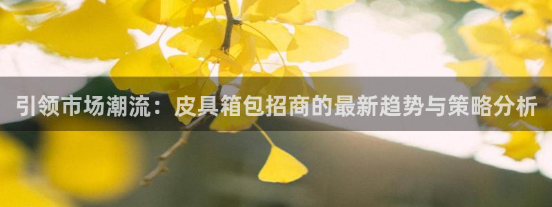 辉达娱乐待遇