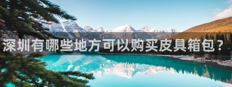 辉达平台官网下载
