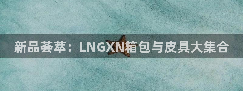 辉达娱乐最新消息新闻