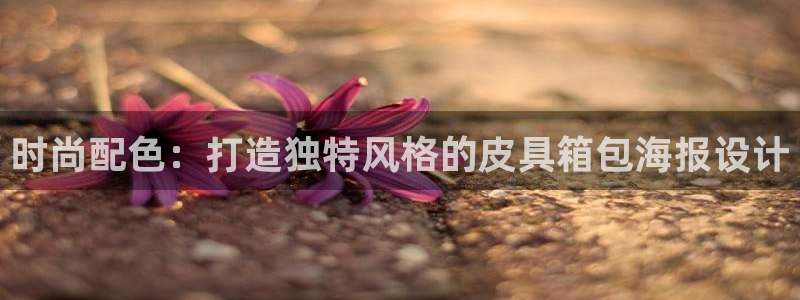 辉达娱乐五75505