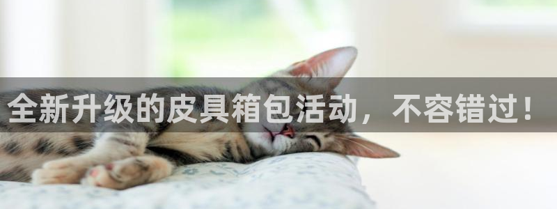 辉达娱乐正规吗