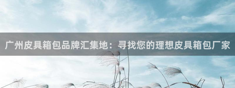 代理辉达娱乐平台